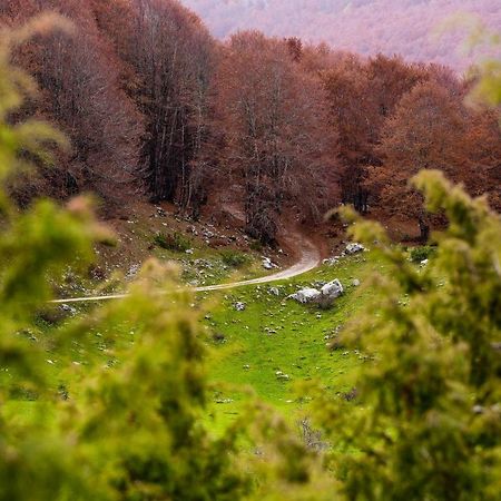 Appartamento A Campo Felice - Treeffe Collimento Exterior photo