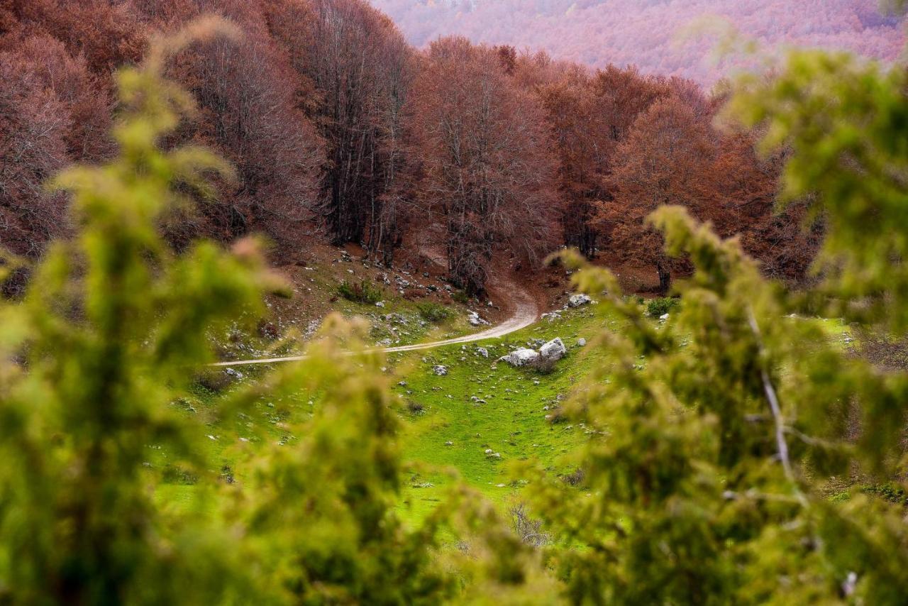Appartamento A Campo Felice - Treeffe Collimento Exterior photo